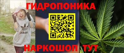 соль ск Гусев
