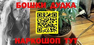ECSTASY Донской
