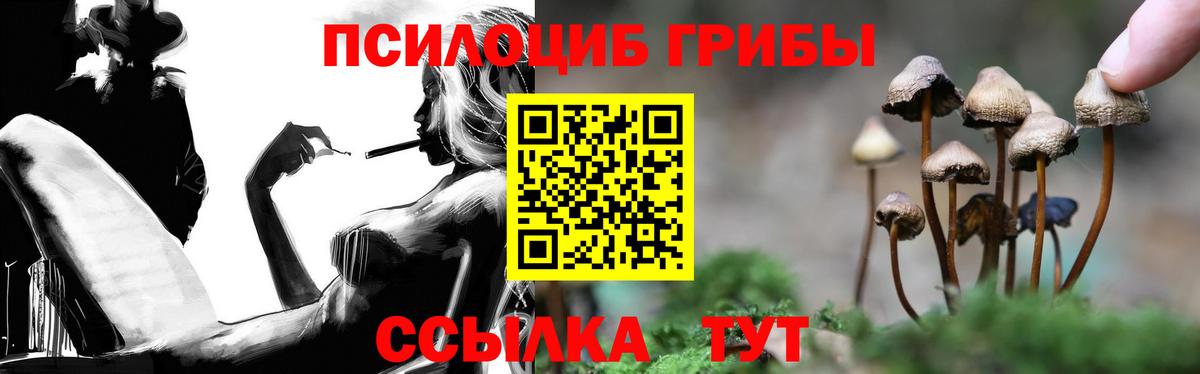 Мыски  Галлюциногенные грибы MAGIC MUSHROOMS  Вход с VPN  Галлюциногенные грибы прущие грибы 