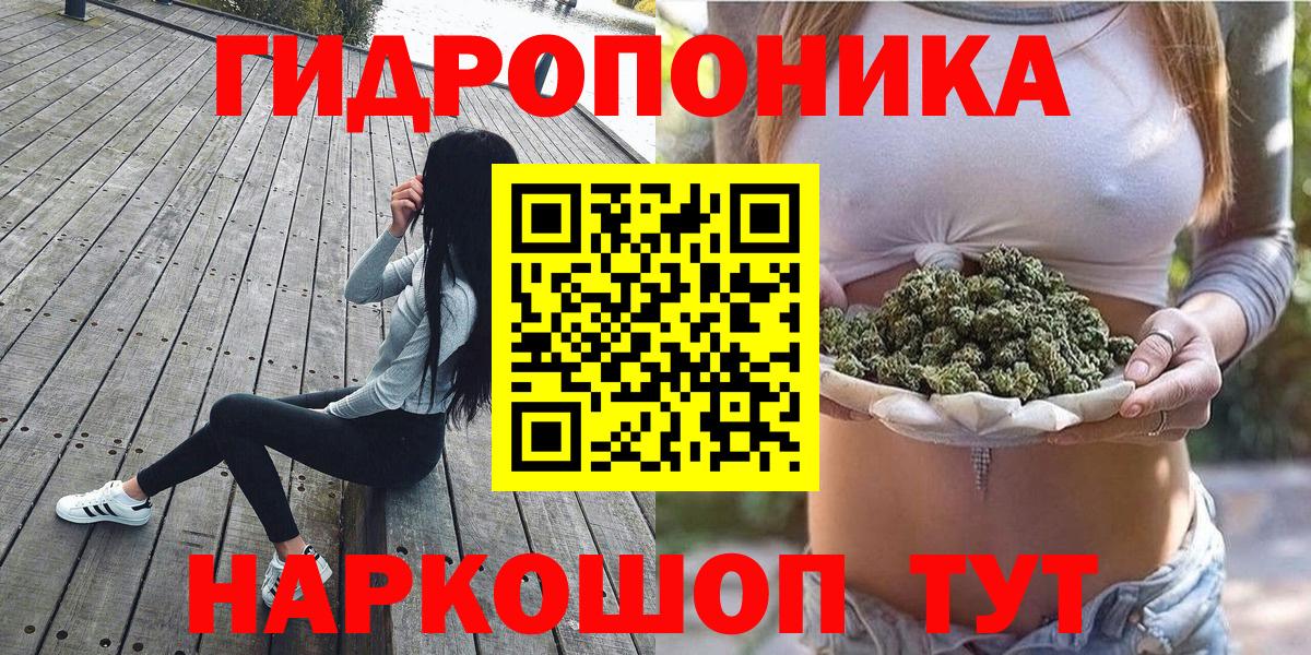 Шишки марихуана план Мыски